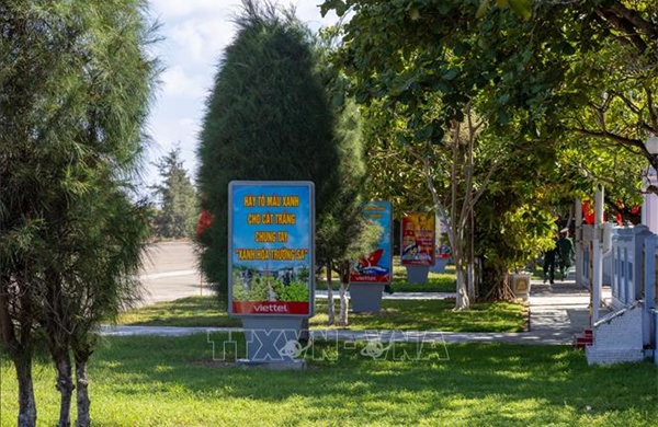 Ở Trường Sa, cây cũng 'học làm lính'