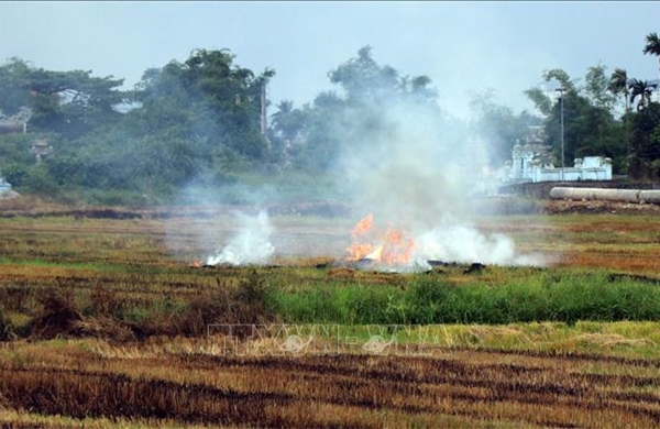 Ngăn chặn đốt rơm rạ sau thu hoạch lúa