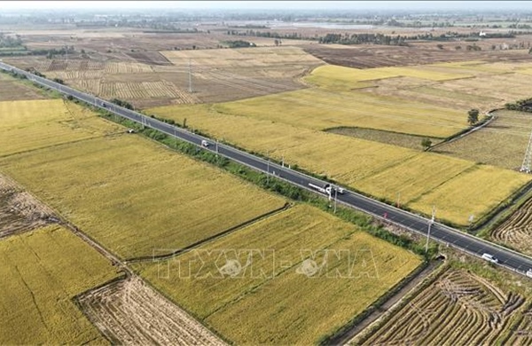 Tháo 'nút thắt' cho Đề án 1 triệu héc-ta lúa chất lượng cao