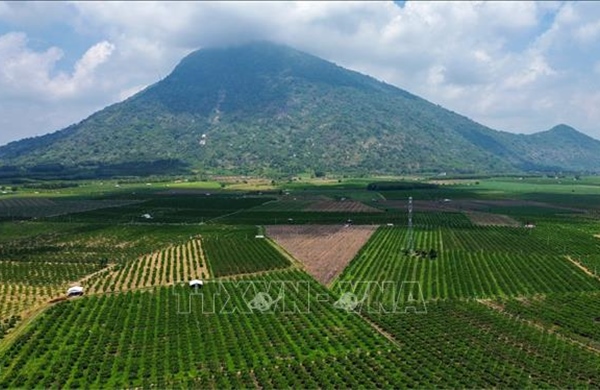 Tăng cường liên kết doanh nghiệp lữ hành, nâng tầm điểm đến