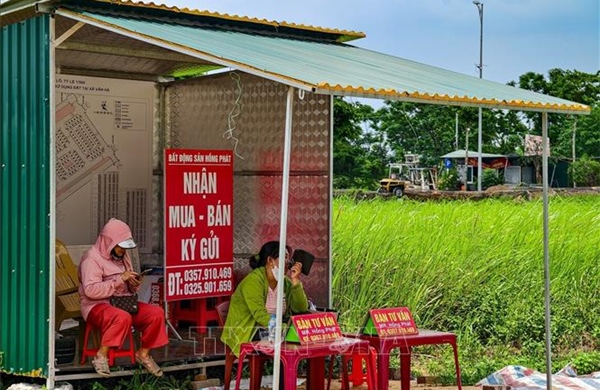 Hà Nội sẽ kiểm tra hoạt động môi giới tại khu tái định cư cầu vượt sông Hồng
