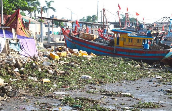 Chỉ đạo xác minh nội dung TTXVN phản ánh về tình trạng ô nhiễm tại cảng cá Lạch Vạn