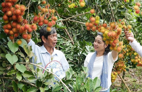 Mùa trái chín ở Đồng Nai, nông dân tăng thu nhập nhờ du lịch vườn