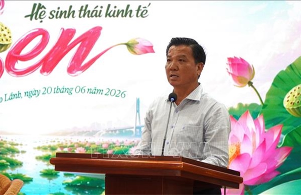 Nâng chất lượng và giá trị cây sen Đồng Tháp