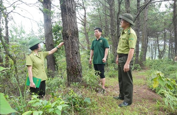 'Gác lửa rừng' mùa nắng nóng