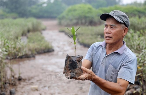 Người thương binh hơn 40 năm gieo màu xanh nơi đầu sóng