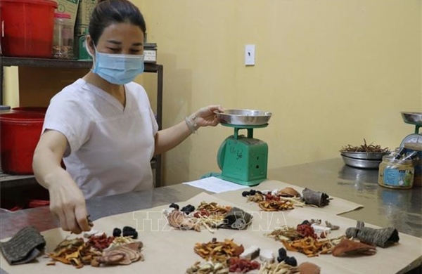 Phát triển y học cổ truyền theo hướng hiện đại: Kế thừa tinh hoa Đông y trên nền tảng khoa học công nghệ hiện đại