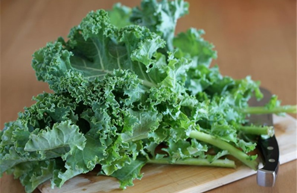 Vai trò của rau họ Cải trong xử lý kim loại nặng trong đất