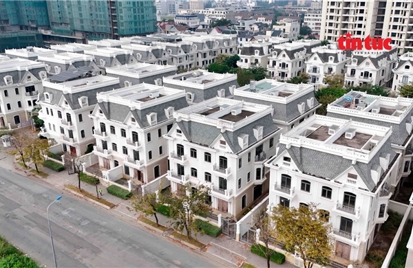 TP Hồ Chí Minh: Nhà phố, biệt thự tiền tỷ để hoang tàn nhiều năm ở Cát Lái