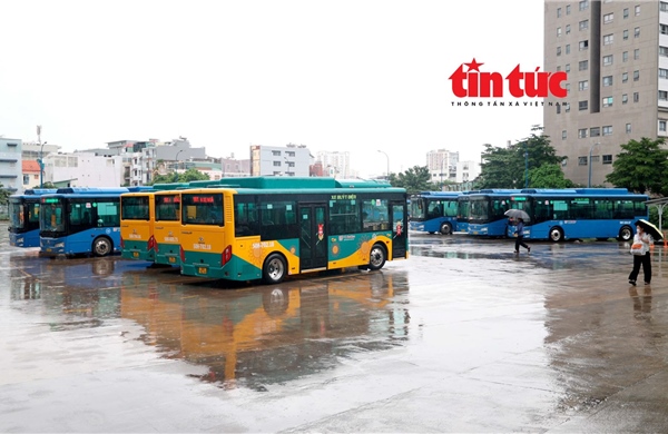 Miễn phí xe buýt ở TP Hồ Chí Minh: Bước đột phá cho giao thông công cộng