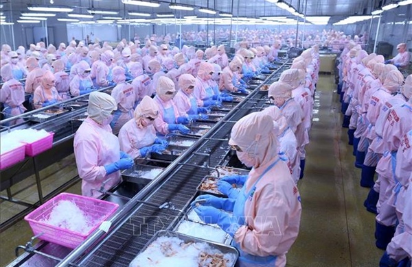 Từng bước tháo gỡ khi Mỹ cấm nhập 12 nhóm loài thủy sản Việt Nam