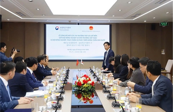 Thêm cơ hội cho thịt gà chế biến Việt Nam tại thị trường Hàn Quốc 