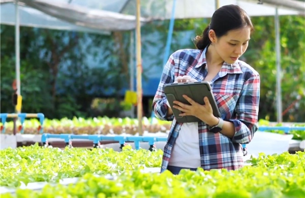 Phát triển nông nghiệp thông minh - Bài cuối: Khi AI và dữ liệu không gian thay đổi cách làm nông