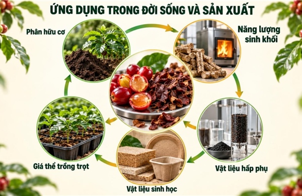 TP Hồ Chí Minh: Tận dụng phụ phẩm cà phê để tạo giá trị gia tăng