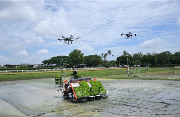 Những thách thức với tham vọng chuyển đổi số của Đông Nam Á