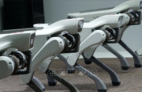 Cách Trung Quốc sử dụng chó robot, AI để bảo đảm an toàn nhà máy điện hạt nhân