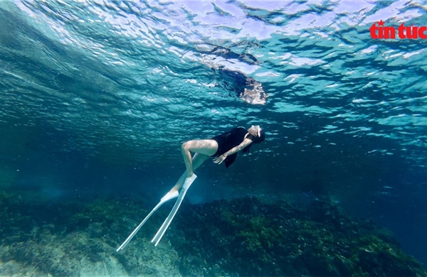 Khám phá Lý Sơn, hòn đảo được mệnh danh 'Maldives' của Việt Nam