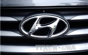 Hyundai sẽ xuất ô tô chạy nhiên liệu hydro sang Pháp Hyundai sẽ xuất ô tô chạy nhiên liệu hydro sang Pháp