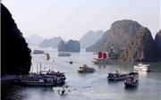 Tổng kiểm tra các tàu kinh doanh vận tải khách trên vịnh Hạ Long và Bái Tử Long Tổng kiểm tra các tàu kinh doanh vận tải khách trên vịnh Hạ Long và Bái Tử Long