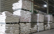 Giá gạo xuất khẩu đảo chiều tăng