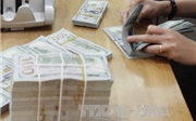 Giá USD các ngân hàng thương mại đồng loạt tăng Giá USD các ngân hàng thương mại đồng loạt tăng