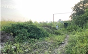 Cần áp thuế nặng với chủ đầu tư để đất hoang Cần áp thuế nặng với chủ đầu tư để đất hoang