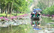 Suối Ấu Vĩnh An - đẹp 'hoang sơ' Suối Ấu Vĩnh An - đẹp 'hoang sơ'