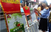 Lịch Xuân Kỷ Hợi 2019: Tôn vinh văn hóa, con người Việt Lịch Xuân Kỷ Hợi 2019: Tôn vinh văn hóa, con người Việt
