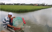 Phát triển nông nghiệp công nghệ cao - Bài 2: Xây dựng nền sản xuất hiện đại Phát triển nông nghiệp công nghệ cao - Bài 2: Xây dựng nền sản xuất hiện đại