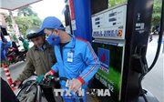 Xăng E5 RON92 tăng 255 đồng/lít Xăng E5 RON92 tăng 255 đồng/lít