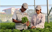 Nghị quyết về giải pháp khuyến khích, thúc đẩy doanh nghiệp đầu tư vào nông nghiệp Nghị quyết về giải pháp khuyến khích, thúc đẩy doanh nghiệp đầu tư vào nông nghiệp