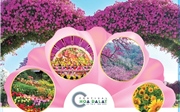 Festival hoa Đà Lạt lần thứ X năm 2024 - Bản giao hưởng sắc màu