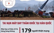 Toàn cảnh vụ tai nạn máy bay tại Hàn Quốc làm 179 người thiệt mạng