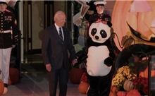 Đệ nhất Phu nhân Jill Biden hóa trang thành gấu trúc cho mùa lễ hội Halloween