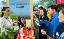 Đặc sắc Lễ hội sâm và hương liệu, dược liệu quốc tế TP Hồ Chí Minh 
