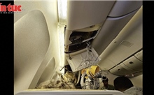 Máy bay Singapore Airlines gặp nhiễu động không khí nghiêm trọng làm 31 người thương vong