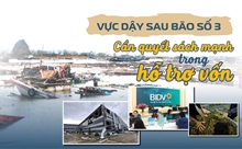 Vực dậy sau bão số 3: Cần quyết sách mạnh mẽ trong hỗ trợ vốn