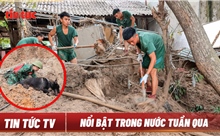 Tin tức TV: Tập trung khắc phục hậu quả cơn bão số 3; Xét xử vụ án Vạn Thịnh Phát giai đoạn 2