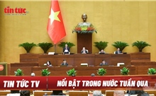 Tin tức TV: Bộ Chính trị xem xét, thi hành kỷ luật tổ chức đảng, đảng viên; Quốc hội chất vấn và trả lời chất vấn