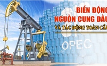 Biến động nguồn cung dầu và tác động toàn cầu