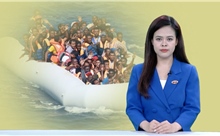 Tin tức TV: Cảnh báo tái diễn di cư bất hợp pháp