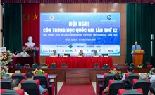 Bệnh do côn trùng gây ra vẫn đang là vấn nạn rất lớn