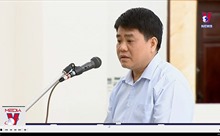 Nguyễn Đức Chung bị khởi tố liên quan vụ trồng cây xanh tại Hà Nội