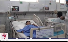 Hai mẹ con nhập viện nghi do ngộ độc nấm mọc trên xác nhộng ve sầu