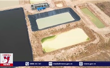 Xử phạt gần 1 tỷ đồng đối với  3 trang trại nuôi heo gây ô nhiễm
