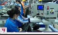 Xuất khẩu sụt giảm - Giải pháp ứng phó