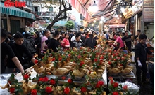 Chợ Hàng Bè nhộn nhịp sáng 29 tháng Chạp, thu hút đông người mua sắm Tết