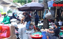 Hà Nội: Chợ tự phát đua nhau lấn chiếm vỉa hè, lòng đường 