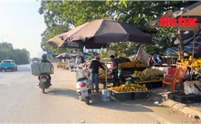 Tiểu thương căng ô dù &#39;lập chợ&#39; trên Đại lộ Thăng Long