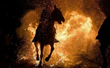 Cưỡi ngựa vượt lửa để xua đuổi bệnh dịch tại Tây Ban Nha